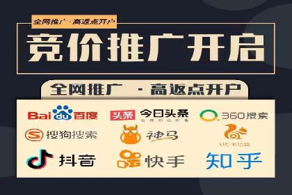 行业领先企业的SEM竞价代运营案例解析